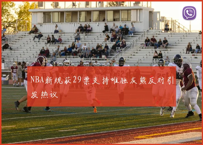 NBA新规获29票支持唯独灰熊反对引发热议