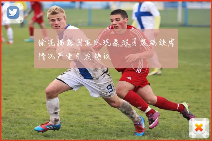 徐亮揭露国家队现象球员装病缺席情况严重引发热议